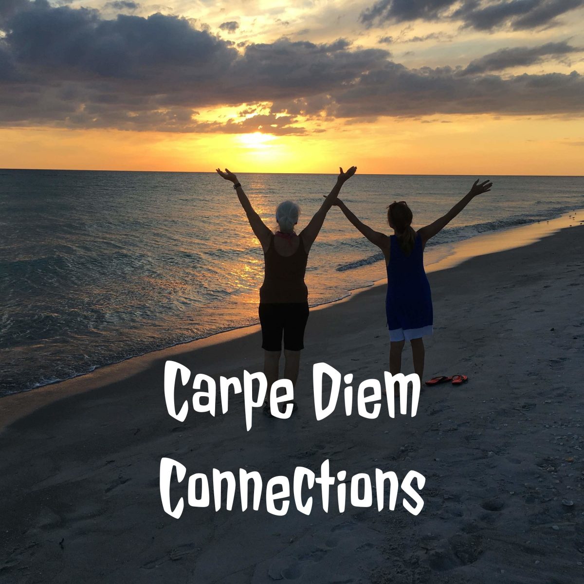 Hannah Kane talks about Goal Setting on Carpe Diem Connection Podcast